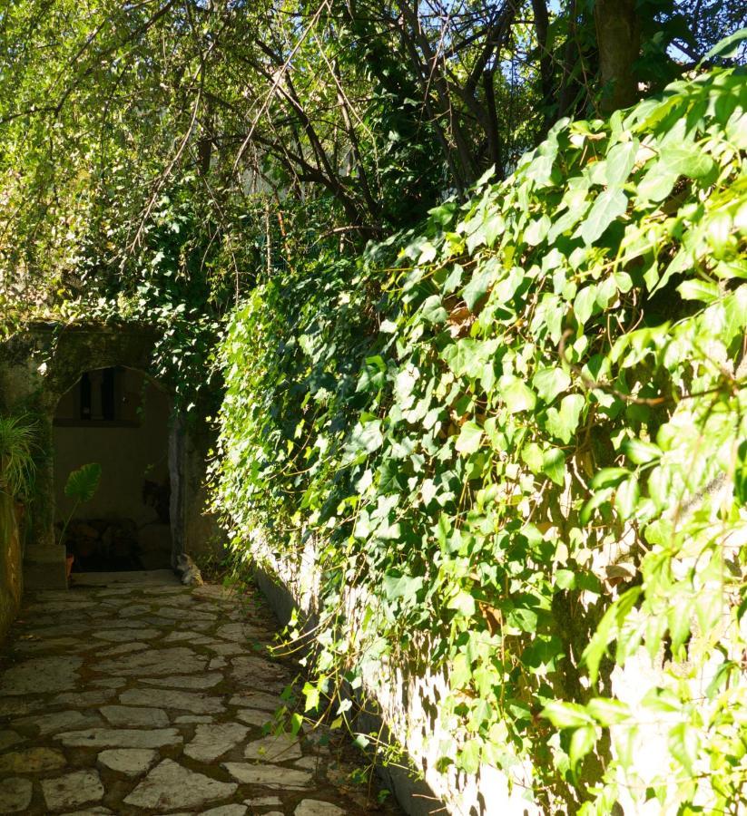 Gasthaus Casa Dos Arrabidos Torres Novas Exterior foto